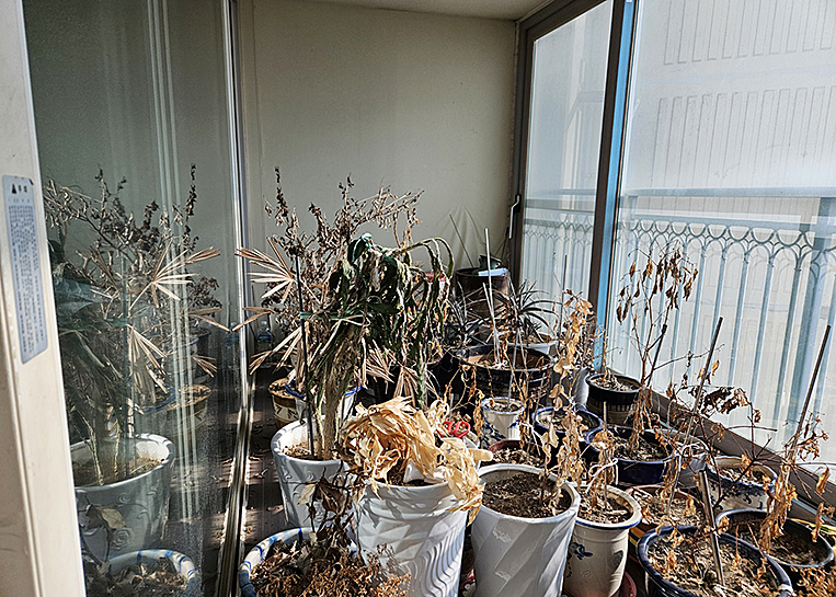 대량폐기물 처리와 특수청소업체의 실무적 중요성